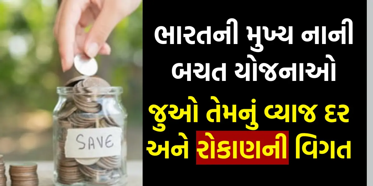 Top Small Savings Schemes in India: ભારતની મુખ્ય નાની બચત યોજનાઓ,જુઓ તેમનું વ્યાજ દર અને રોકાણની વિગત