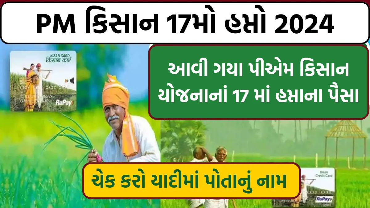 PM Kisan 17th Installment 2024: આવી ગયા પીએમ કિસાન યોજનાનાં 17 માં હપ્તાના પૈસા,આ રીતે ચેક કરો યાદીમાં પોતાનું નામ