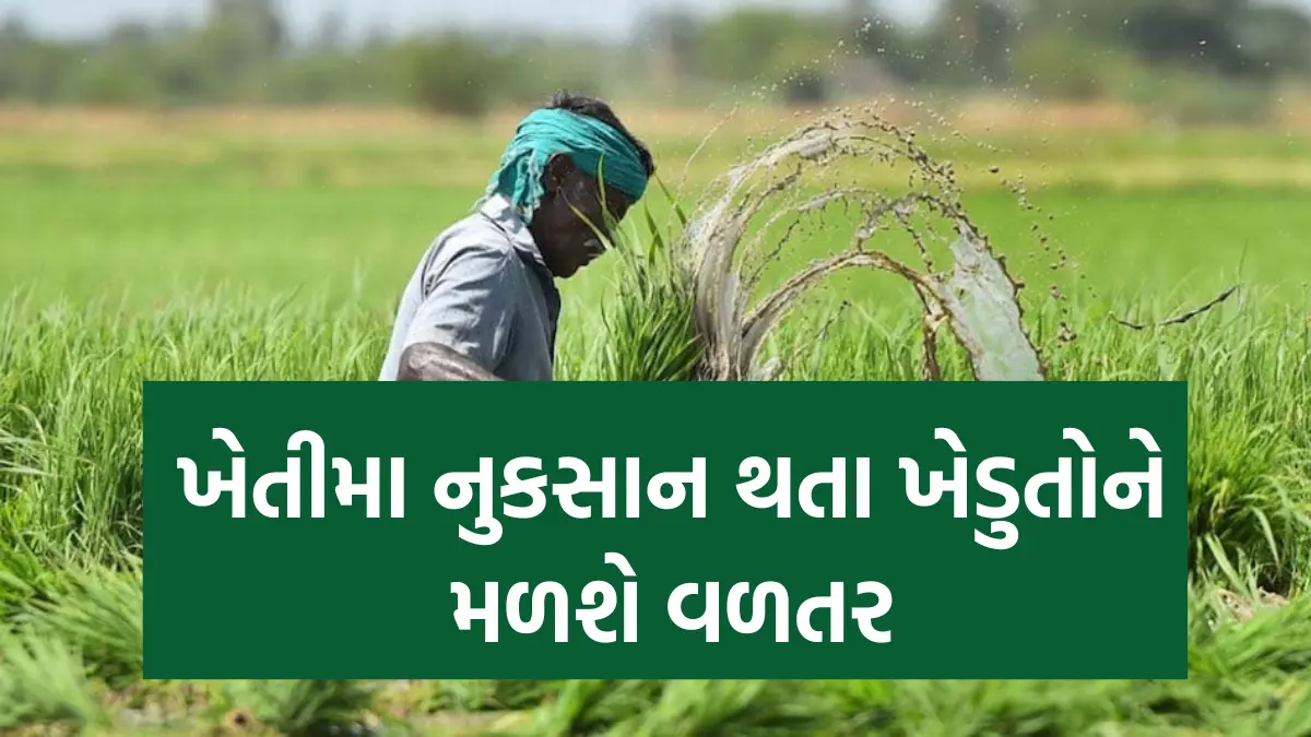 PM Fasal Bima Yojana 2024: ખેતીમા નુકસાન થતા ખેડુતોને મળશે વળતર, પીએમ ફસલ બીમા યોજનામા કરો અરજી