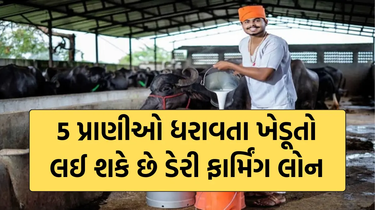 Dairy Farming Loan Apply Online: 5 પ્રાણીઓ ધરાવતા ખેડૂતો લઈ શકે છે ડેરી ફાર્મિંગ લોન,આ રીતે કરો અરજી