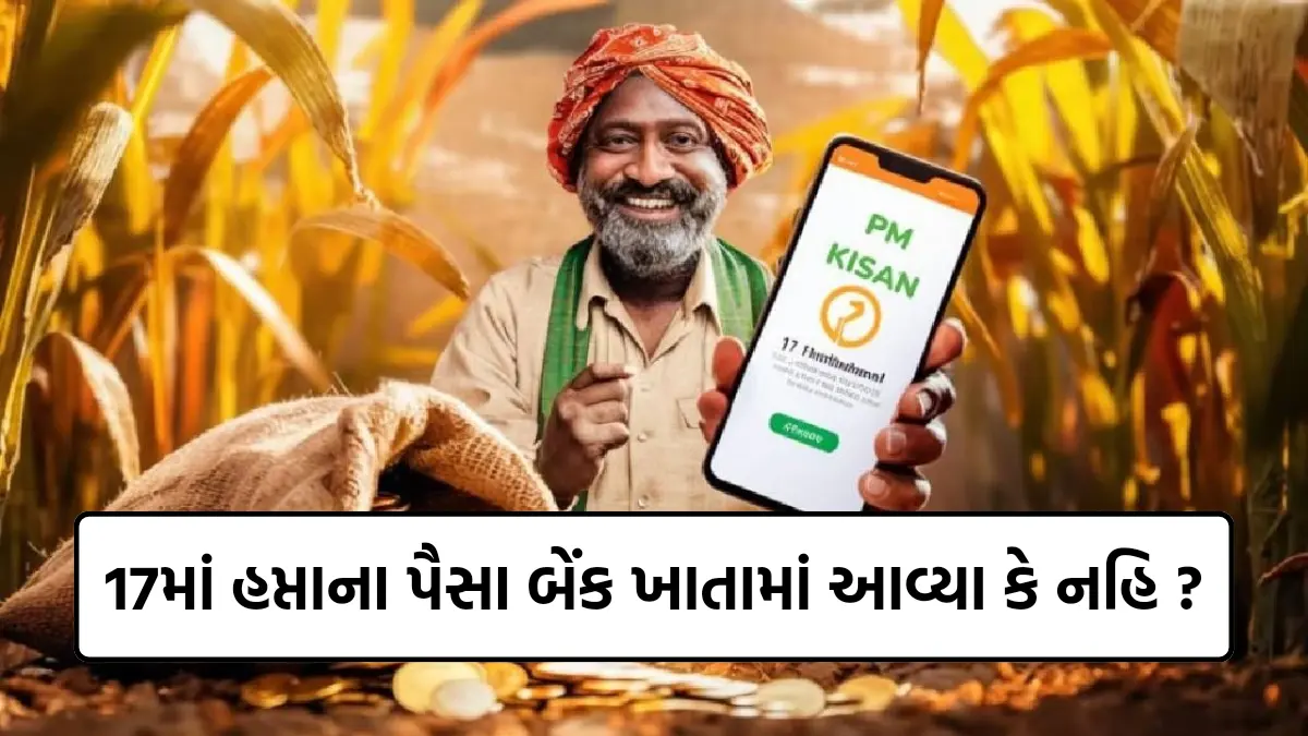 PM Kisan Payment Status Check 2024 : 17માં હપ્તાના પૈસા બેંક ખાતામાં આવ્યા કે નહિ ? અહી ચેક કરો પોતાનું સ્ટેટસ