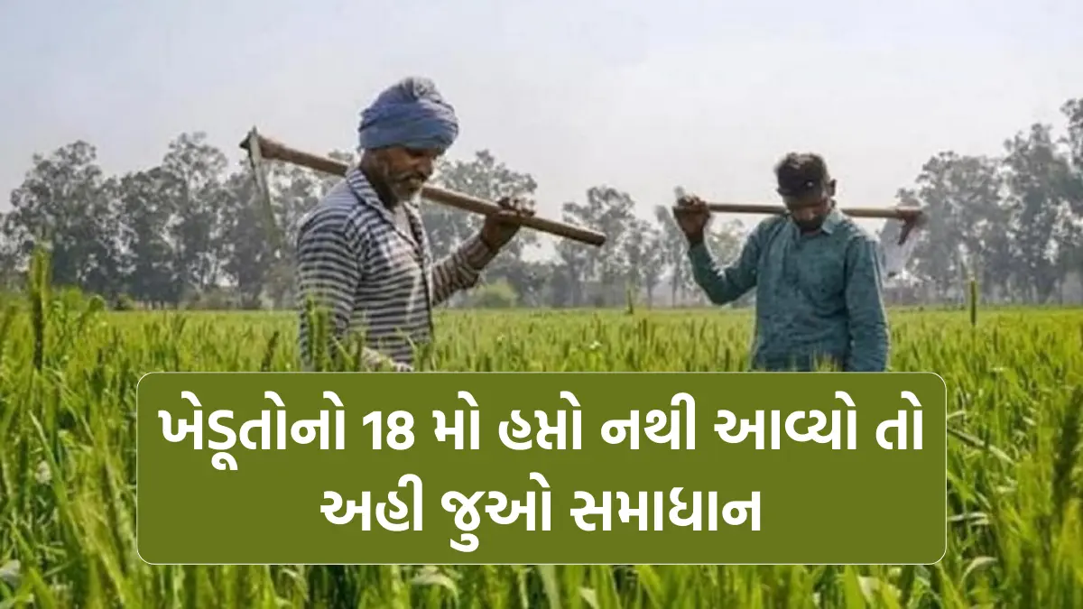  PM Kisan Samman Nidhi: ખેડૂતોનો 18 મો હપ્તો નથી આવ્યો તો ,અહી જુઓ સમાધાન