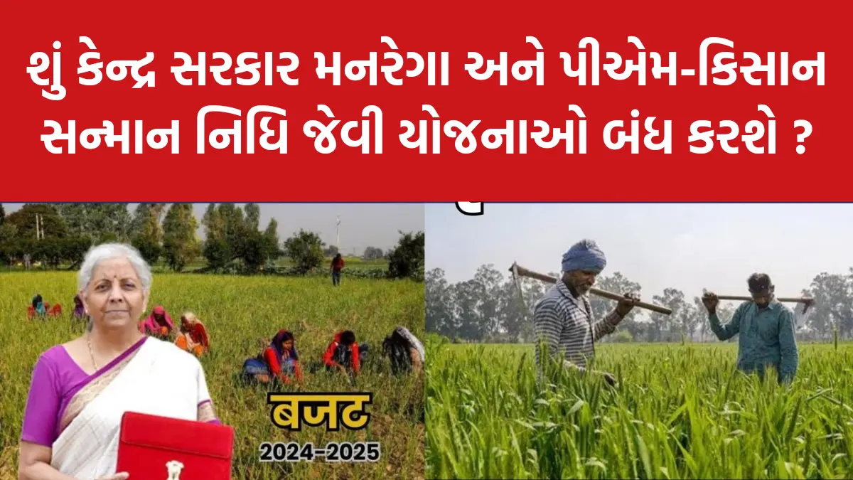 Mgnrega kisan Samman nidhi yojana Budget 2024 :શું કેન્દ્ર સરકાર મનરેગા અને પીએમ-કિસાન સન્માન નિધિ જેવી યોજનાઓ બંધ કરશે ?