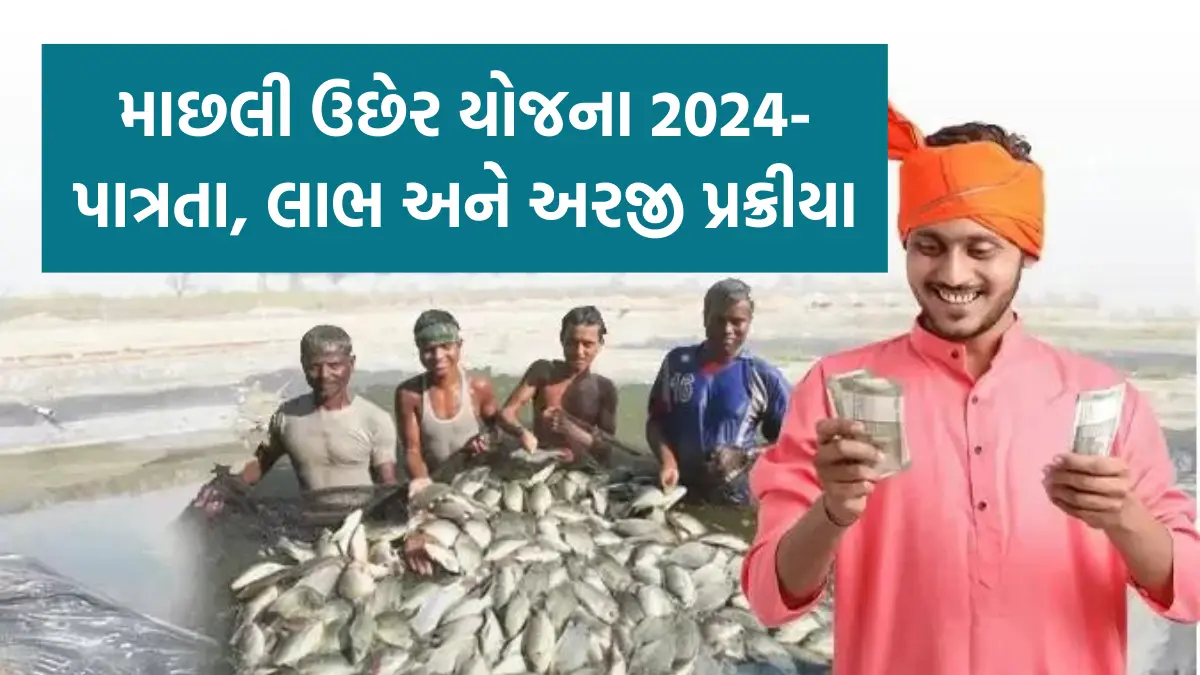 Matsya Palan Yojana 2024 : માછલી ઉછેર યોજના 2024-પાત્રતા, લાભ અને અરજી પ્રક્રીયા