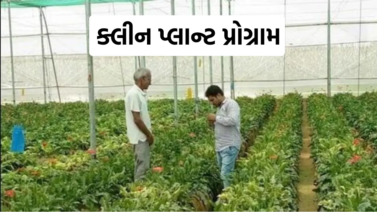 Clean Plant Programme: ₹1,766 કરોડના 'ક્લીન પ્લાન્ટ પ્રોગ્રામ'ને કેબિનેટ બેઠકમાં મળી મંજૂરી, બાગાયત વિભાગમાં થશે આ ફાયદો