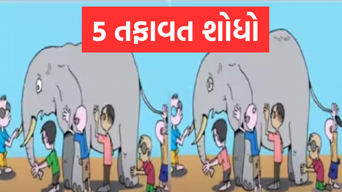 Optical Illusion : શું તમે આ પિક્ચરમા આપેલ 5 તફાવતને ઓળખી શકશો ? તમારી માનસિક ક્ષમતા કેટલી છે ? 20 સેકંડમાં જવાબ લાવો